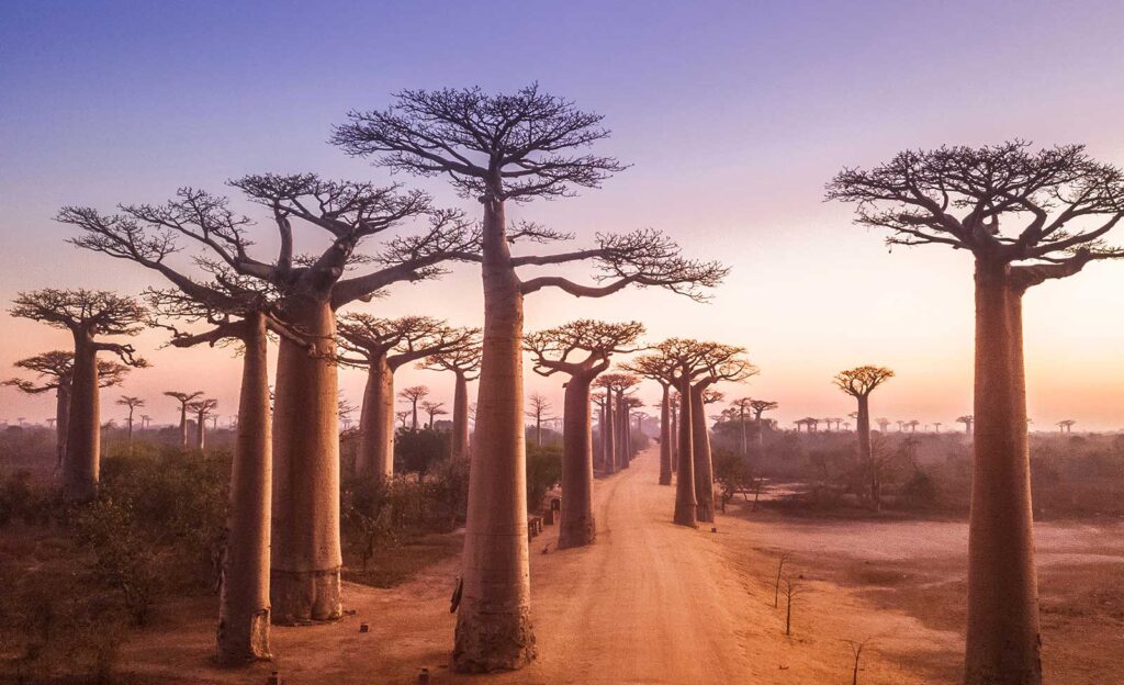 Madagascar : le pays le plus sous-coté d’Afrique | Culture, Histoire &amp; Tourisme