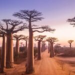 Madagascar : le pays le plus sous-coté d’Afrique | Culture, Histoire & Tourisme