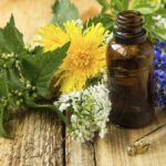 Plantes médecinales