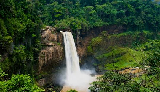 Les trésors du Cameroun