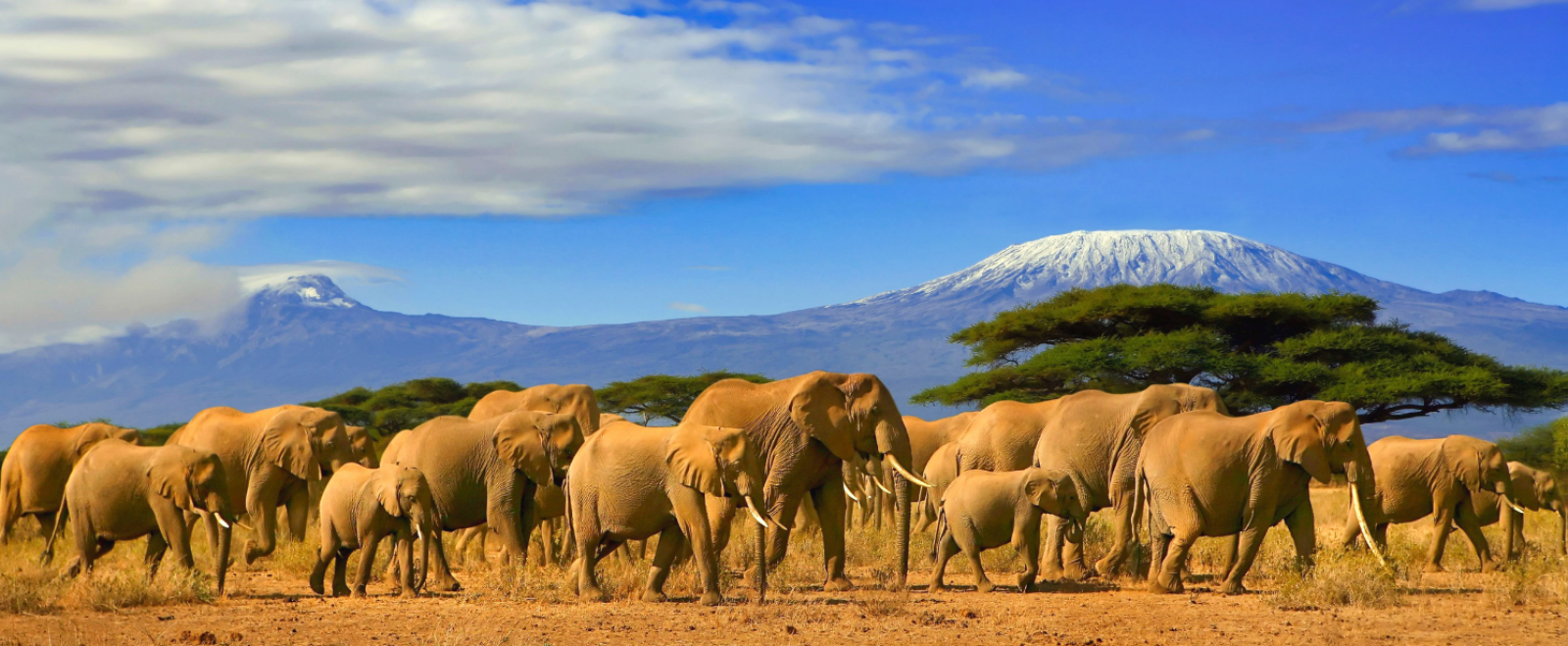 Top 5 des destinations africaines à ajouter absolument à ta bucket list