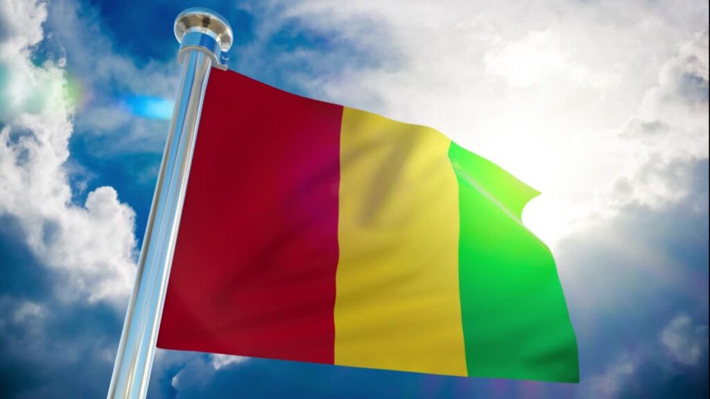 Drapeau Guinée - Tond Média