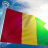 Drapeau Guinée - Tond Média