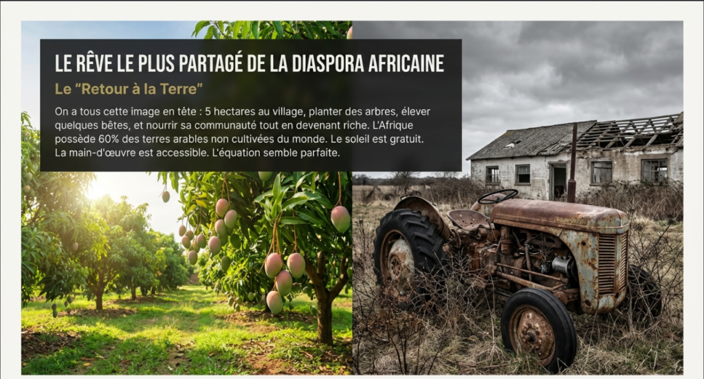Agro-business en Afrique : le guide brutal pour éviter l’échec