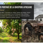 Agro-business en Afrique : le guide brutal pour éviter l’échec